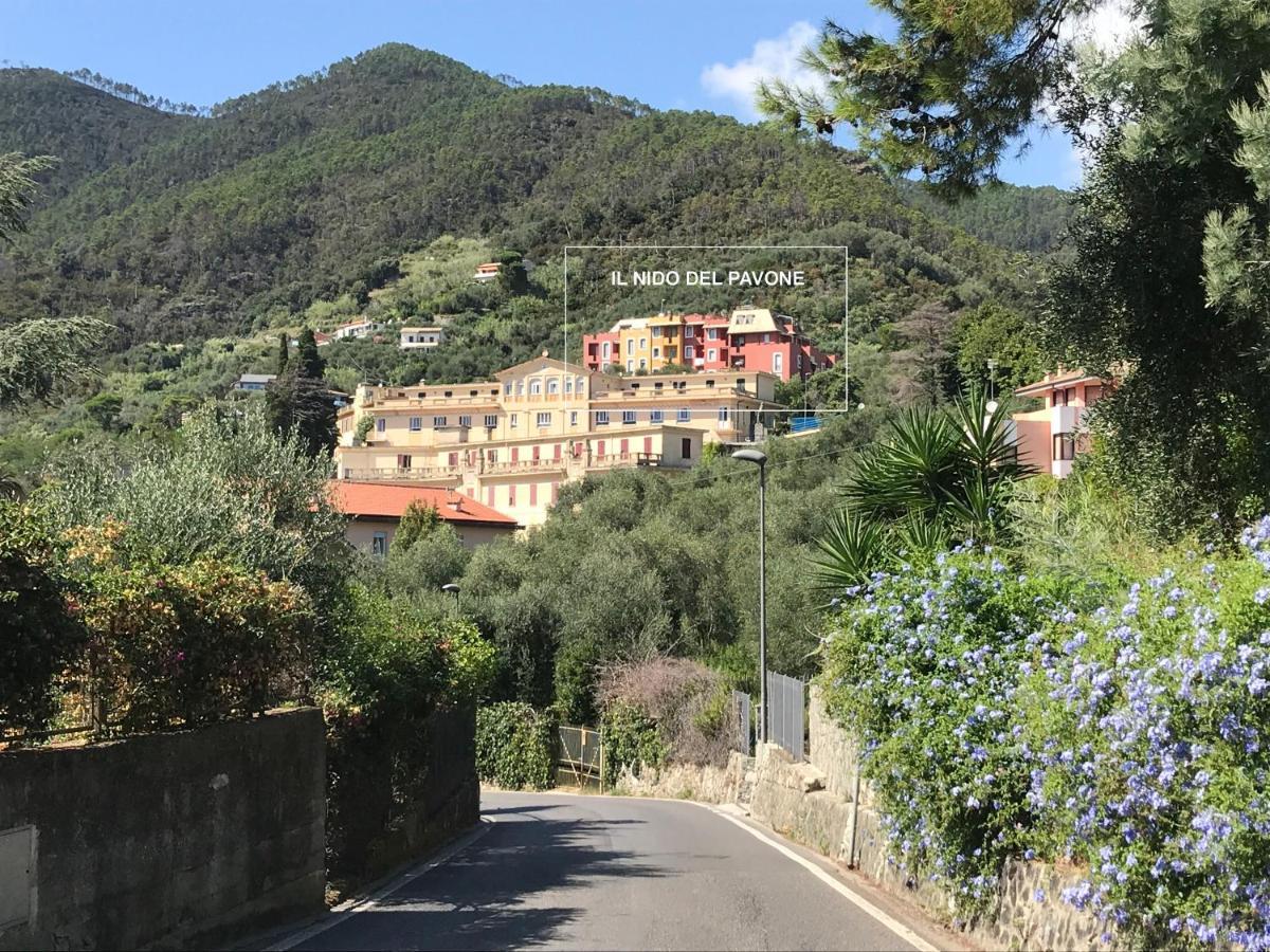 Apartmán Il Nido Del Pavone Monterosso al Mare Exteriér fotografie